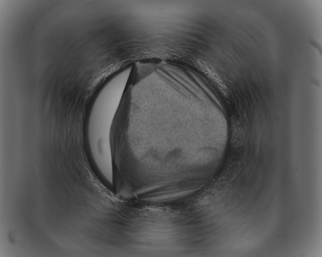 X0000091190681200709061014