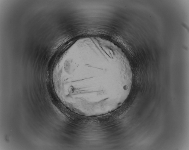 X0000091190683200709061014