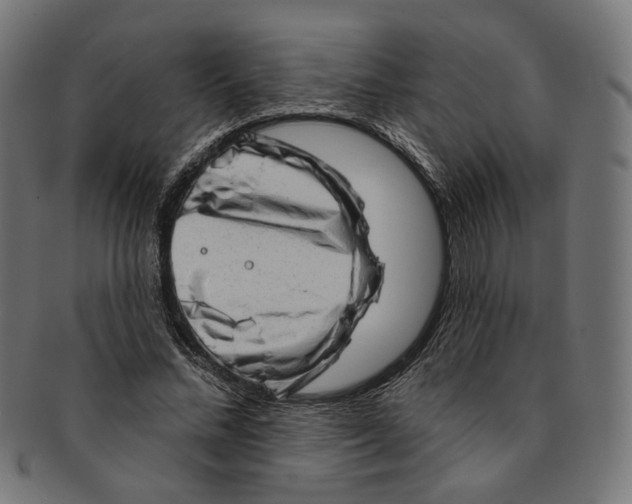 X0000091190684200709061014