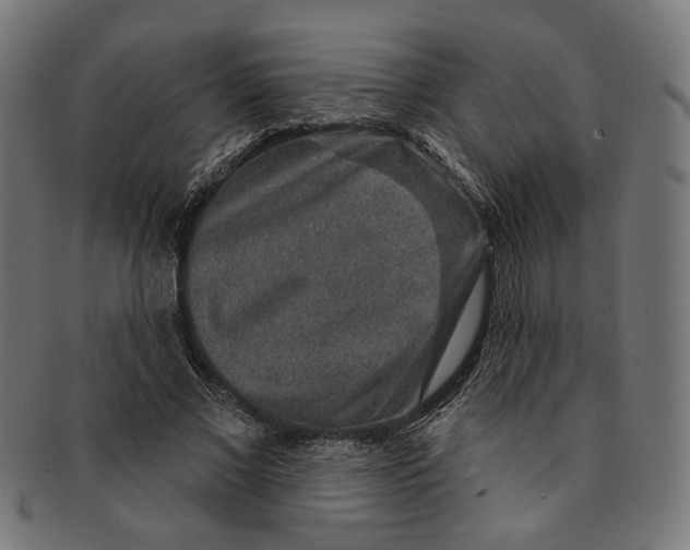 X0000091190685200709061014