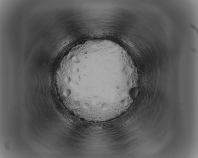 X0000091190687200709061014