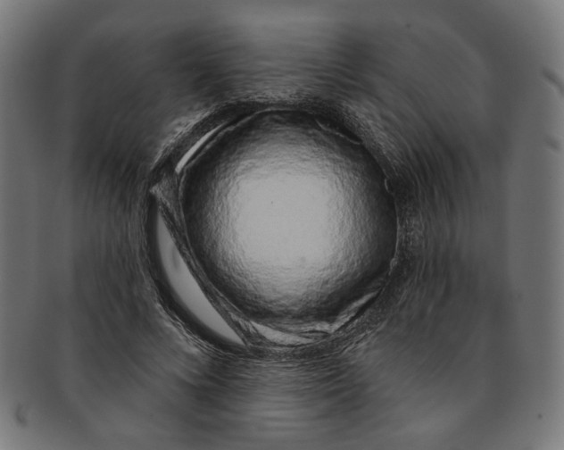 X0000091190688200709061014