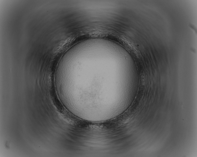 X0000091190690200709061014