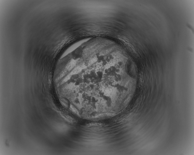 X0000091190691200709061014