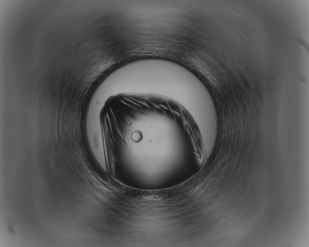 X0000091190692200709061014