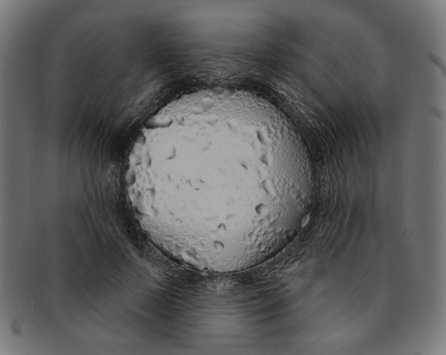 X0000091190695200709061014