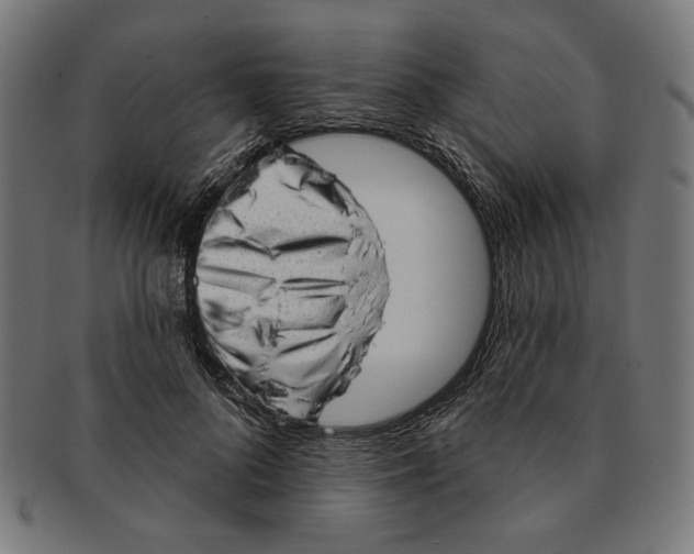 X0000091190696200709061014