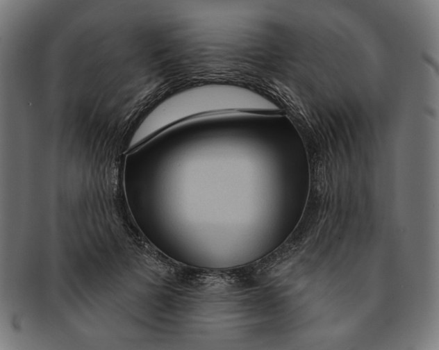 X0000091190697200709061014