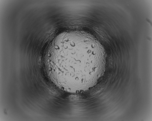 X0000091190699200709061014