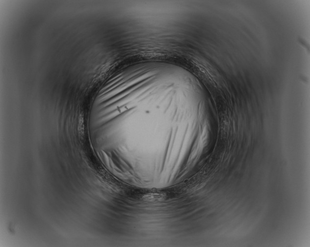 X0000091190700200709061014