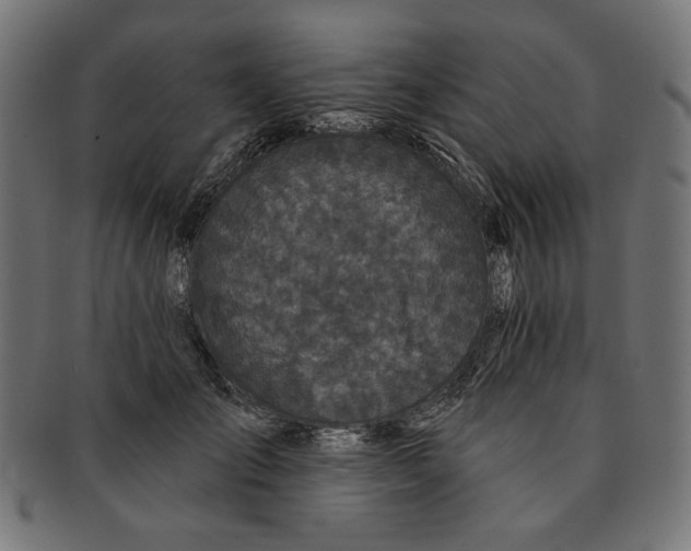 X0000091190701200709061014