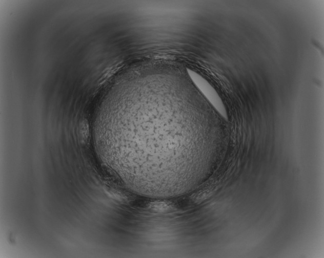 X0000091190704200709061014