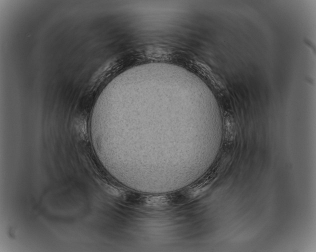 X0000091190705200709061014