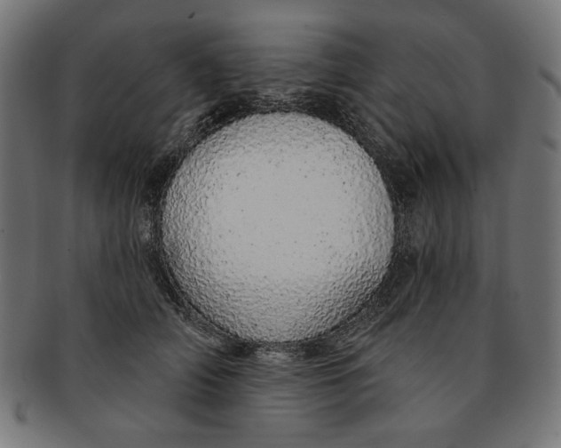 X0000091190706200709061014