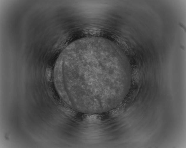 X0000091190709200709061014