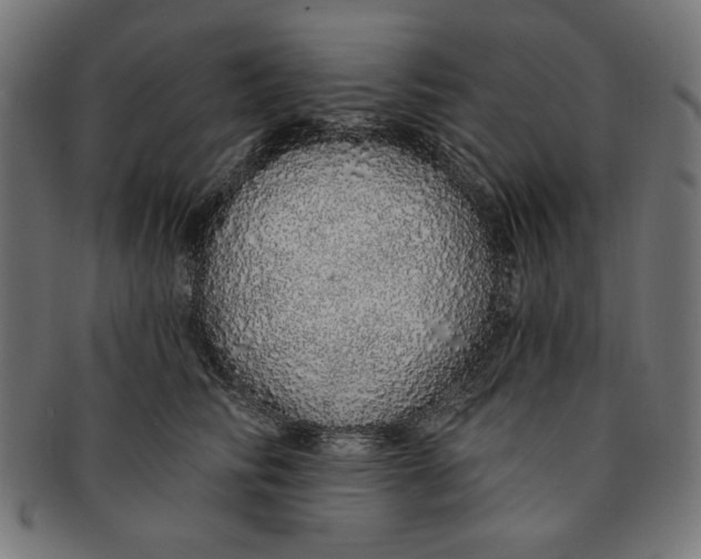 X0000091190710200709061014