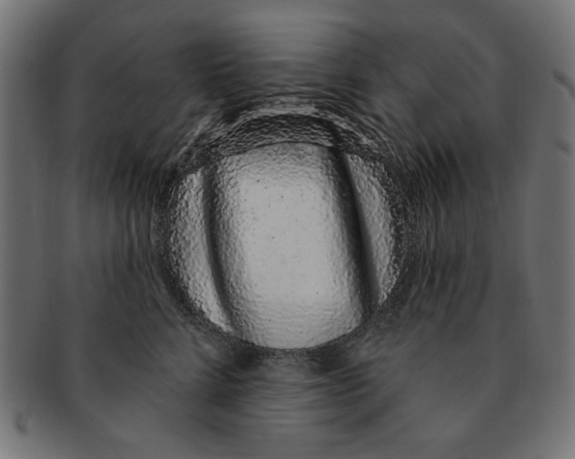 X0000091190712200709061014