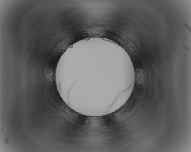 X0000091190713200709061014