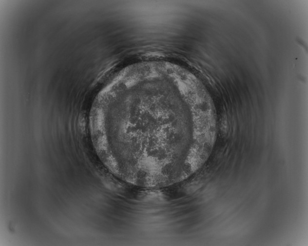 X0000091190715200709061013