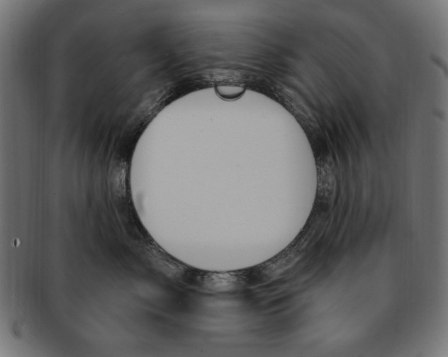 X0000091190717200709061013