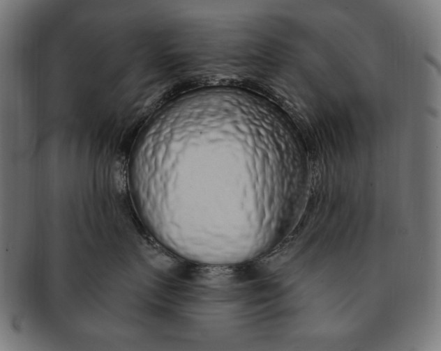 X0000091190719200709061013