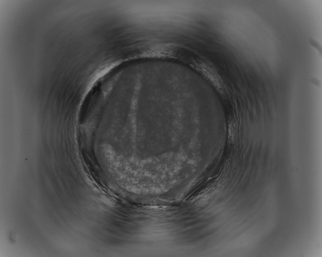 X0000091190724200709061013