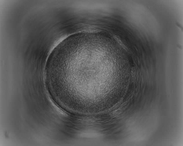 X0000091190726200709061013