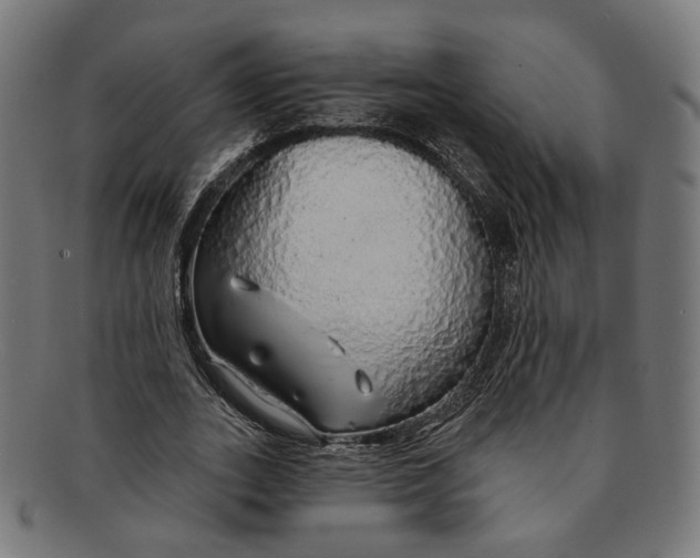 X0000091190727200709061013