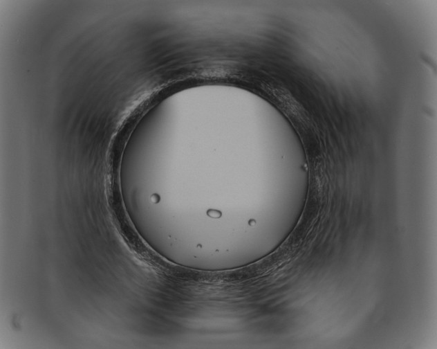 X0000091190728200709061013