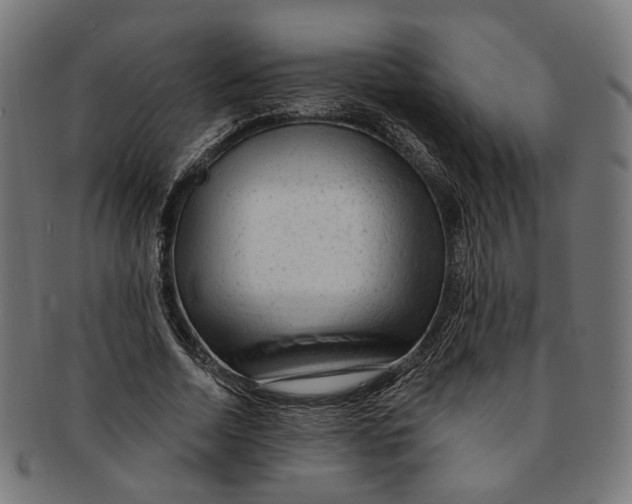 X0000091190730200709061013