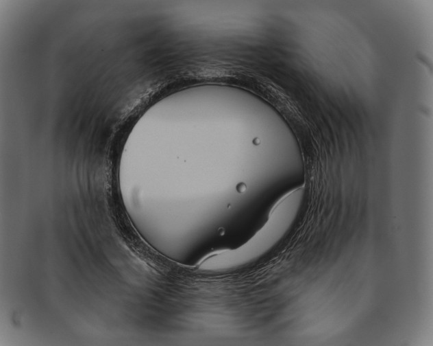 X0000091190732200709061013