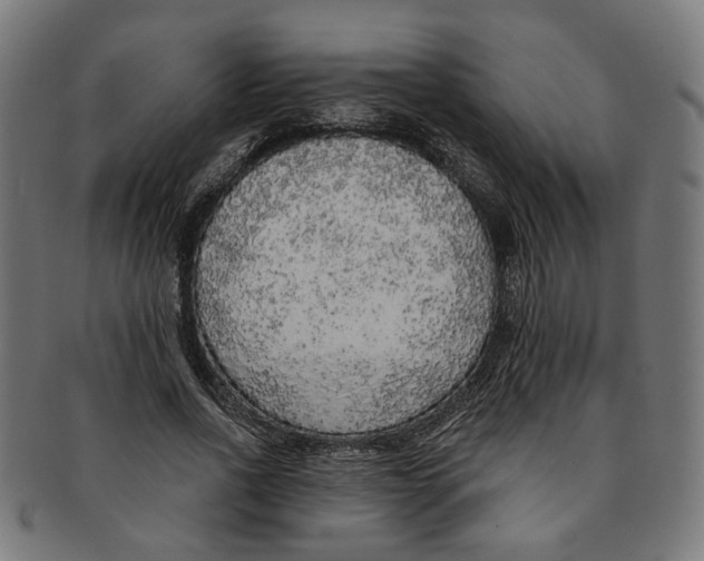 X0000091190734200709061013