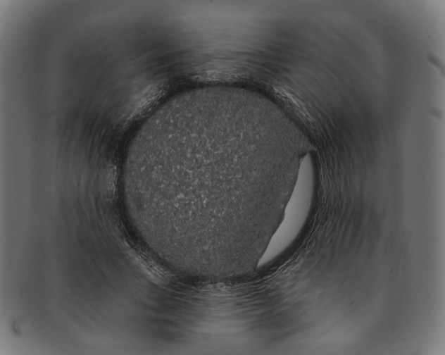 X0000091190735200709061013