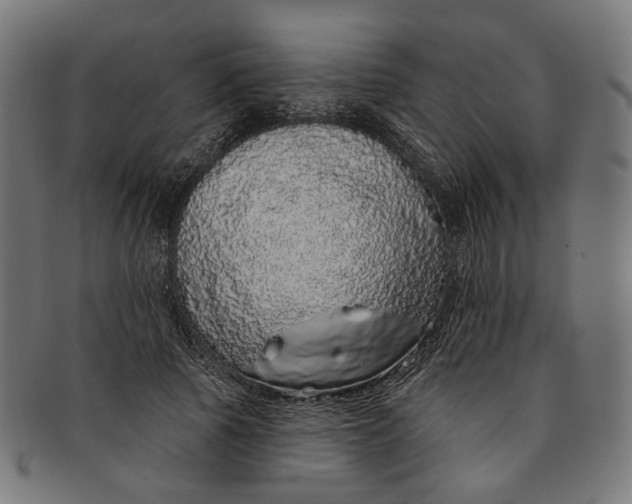 X0000091190737200709061013