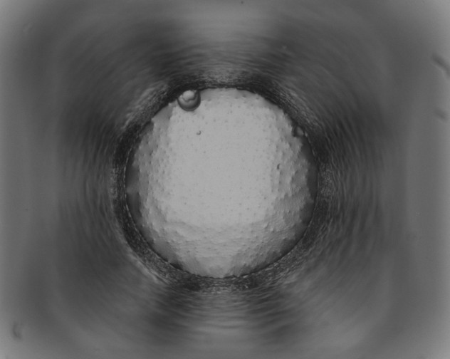 X0000091190738200709061013