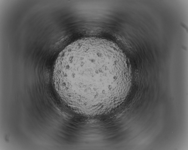 X0000091190741200709061013