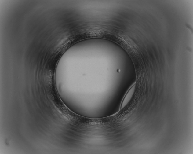 X0000091190744200709061013