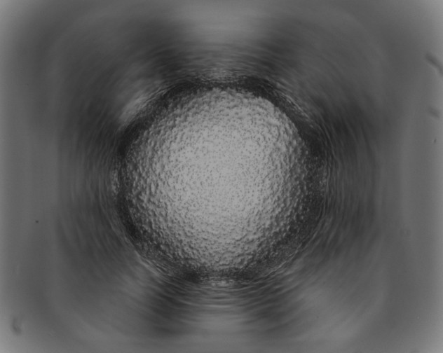 X0000091190746200709061013