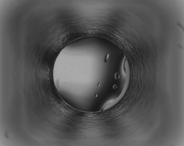 X0000091190750200709061013