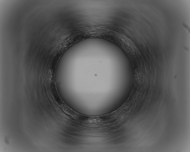 X0000091190752200709061013