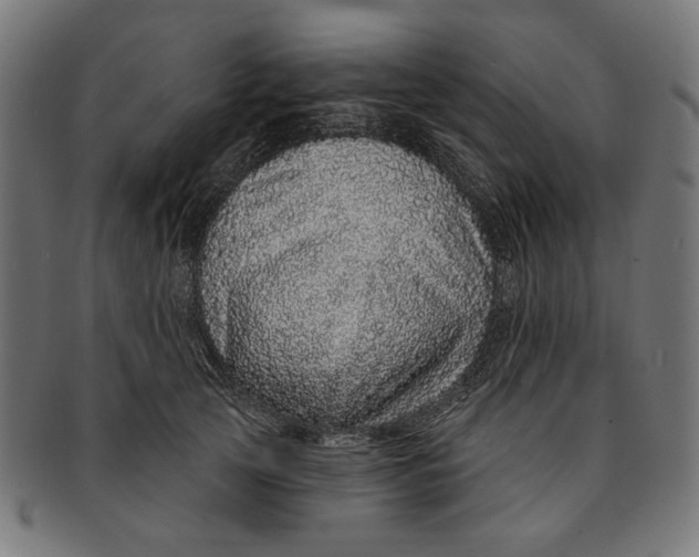 X0000091190753200709061013