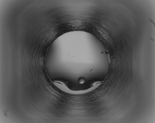 X0000091190756200709061013