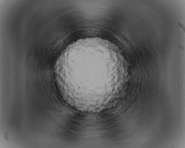 X0000091190757200709061013