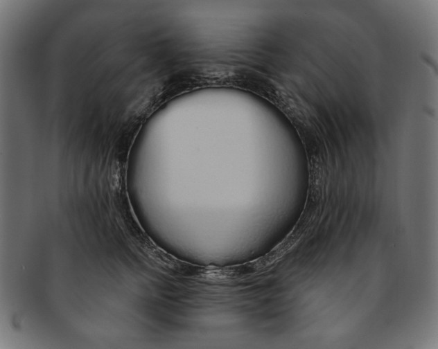 X0000091190758200709061013