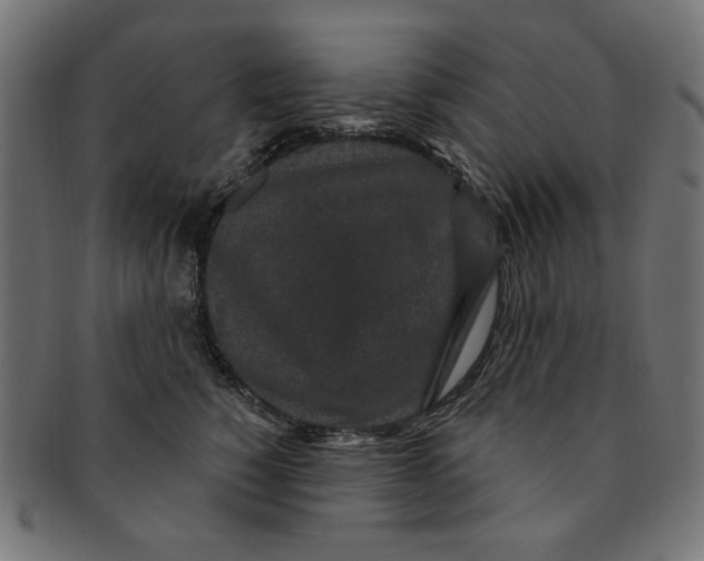 X0000091190760200709061013