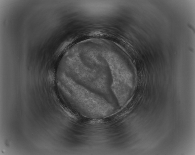 X0000091190762200709061013