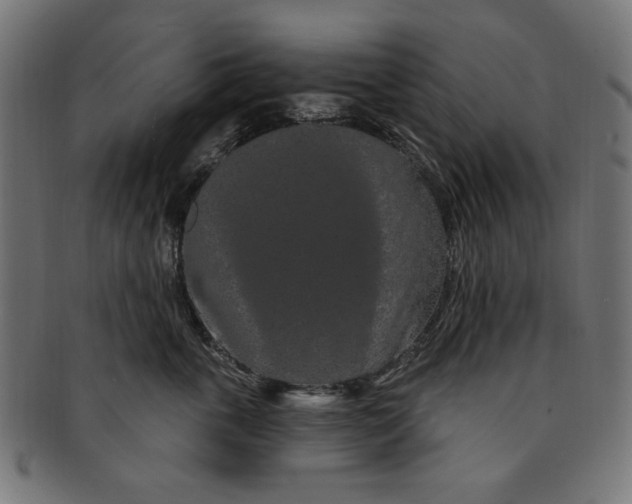 X0000091190763200709061013