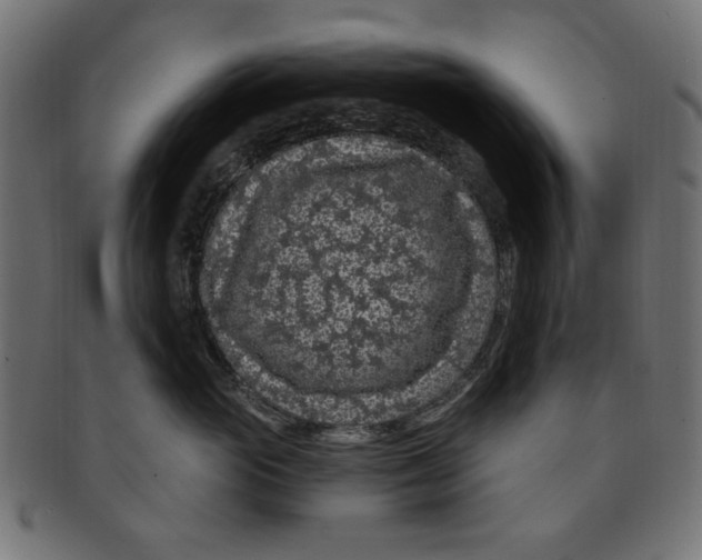 X0000091190765200709061013