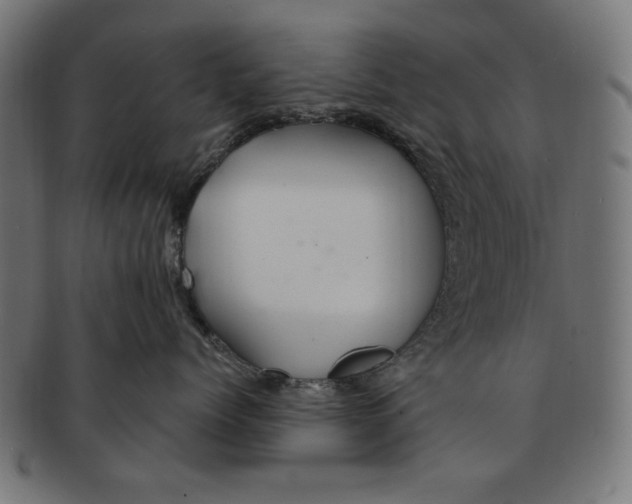 X0000091190768200709061013