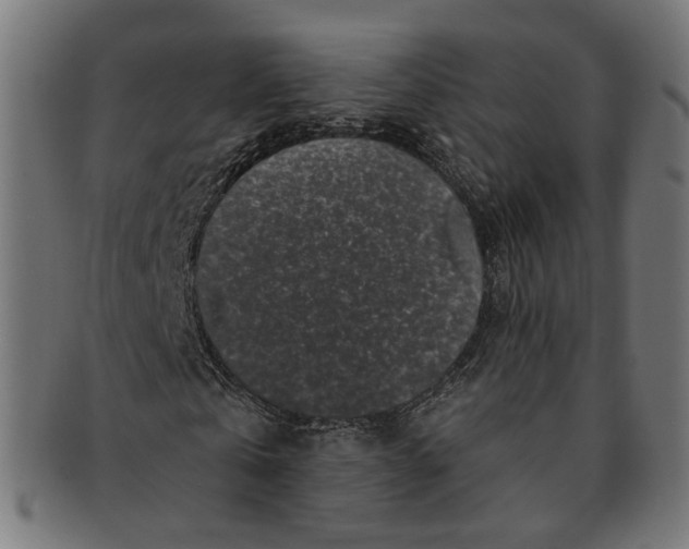 X0000091190769200709061013